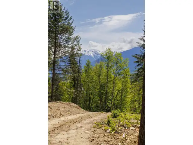 3260 MOUNTAIN VIEW ROAD McBride, British Columbia in Land for Sale in Quesnel - Image 7