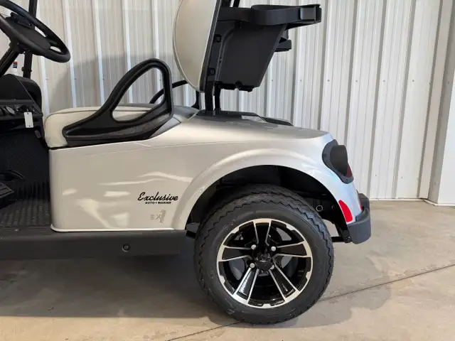 2026 EZGO RXV2 Freedom Platinum in ATVs in Vernon - Image 7