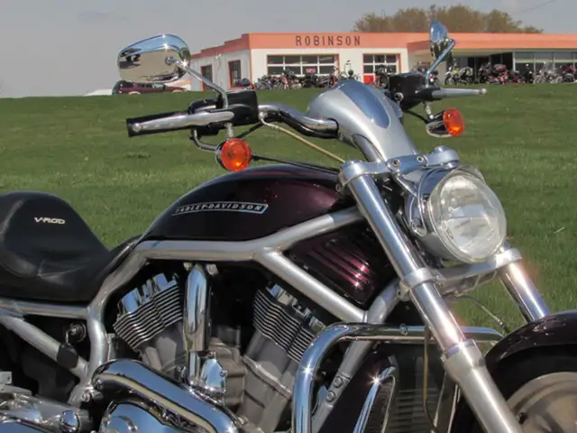 2006 Harley-Davidson VRSC A VRod in Street, Cruisers & Choppers in Leamington - Image 11