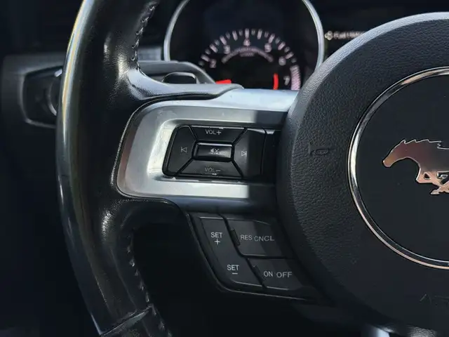 2018 Ford Mustang ECOBOOST FASTBACK| Low KMs | All Black | No Ac in Cars & Trucks in Delta/Surrey/Langley - Image 14