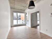 Apartment rental/Appartement locatif-5.5 3 chambres 3cc-grand et neuf Plateau-Mont-Royal, Mile-End,... (image 2)