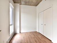 Logement-Appartement locatif-5.5, 3cc Brand-new, tout neuf, luxe, Plateau-Mont-Royal, Mile-End, Mont... (image 4)