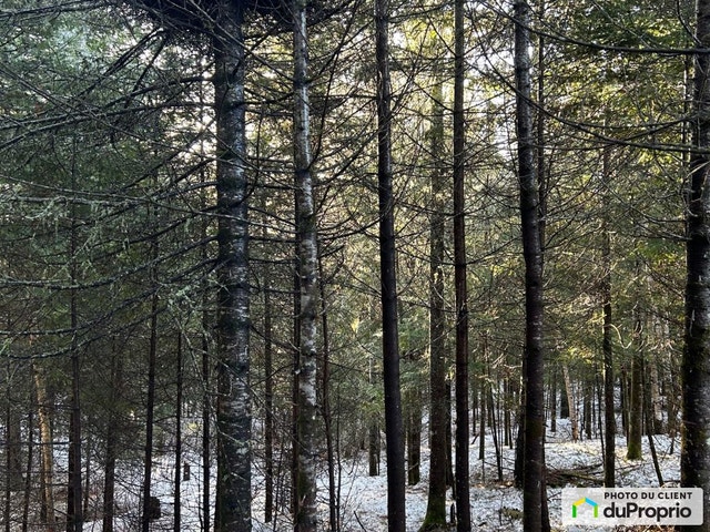 $92,000 - Residential Lot for sale in Val-David — photo 3
