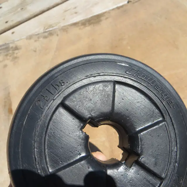 Weight Plates  2 1/2 lbs in Exercise Equipment in Winnipeg - Image 3