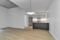 rental apartment for rent-logement locatif a louer-2 bedrooms/chambres-4 1/2-2cc-metro Papineau-vill... (image 1)