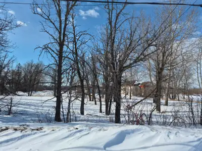 Very rare opportunity to own this one of a kind 5 acre property in Winnipeg. Just South of Royal woo...