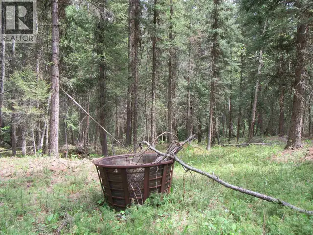 LOT 81 JULSRUD ROAD Deka Lake / Sulphurous / Hathaway Lakes, Bri in Land for Sale in 100 Mile House - Image 13