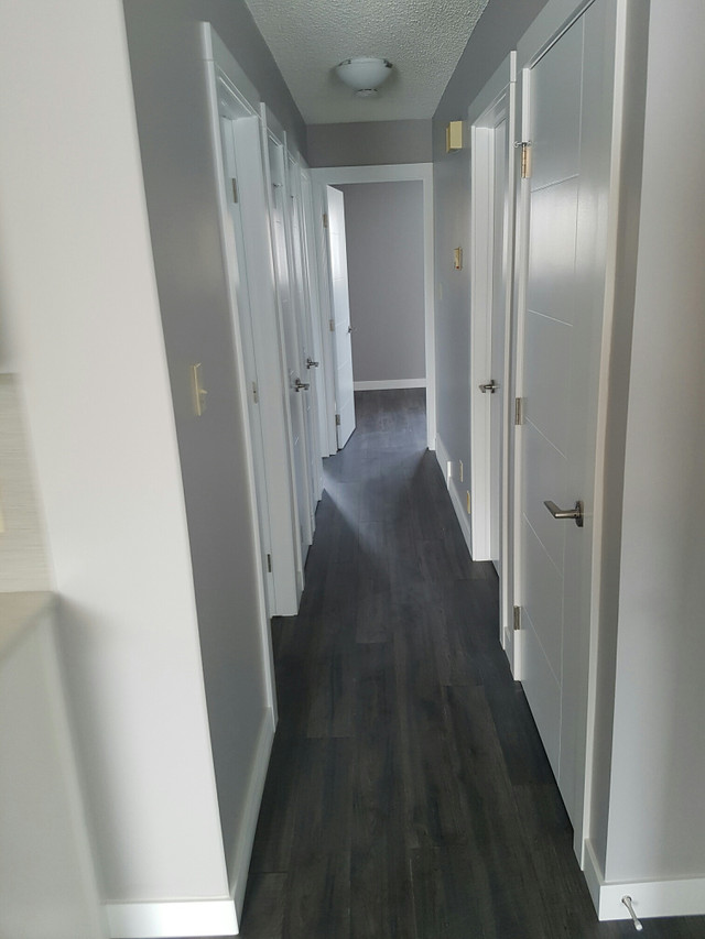 Forest Grove\sutherland 3 bedroom main floor house Long Term Rentals