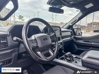 2024 Ford F-150 XLT Black Metallic 301A 145 WB XLT BLACK APPEARENCE PKG 360 DEGREE CAMERA FORD PASS... (image 6)