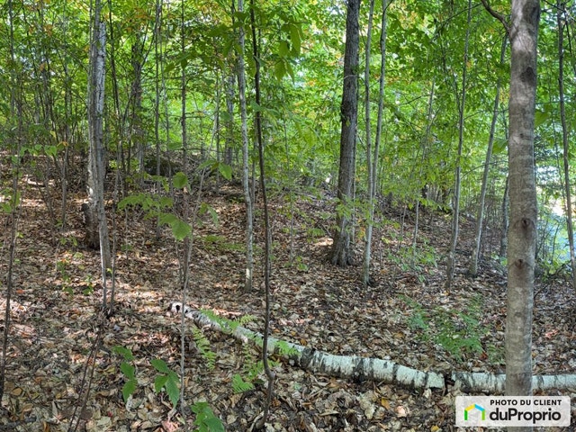 $125,000 - Residential Lot for sale in Ste-Adele — photo 3