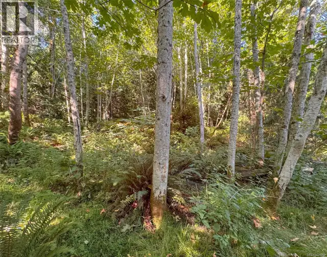 Lot 7 The Strand Gabriola Island, British Columbia in Land for Sale in Nanaimo - Image 5