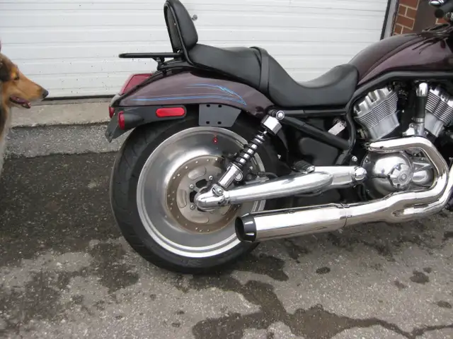 2005 Harley-Davidson VRSCB V-Rod in Street, Cruisers & Choppers in City of Toronto - Image 4