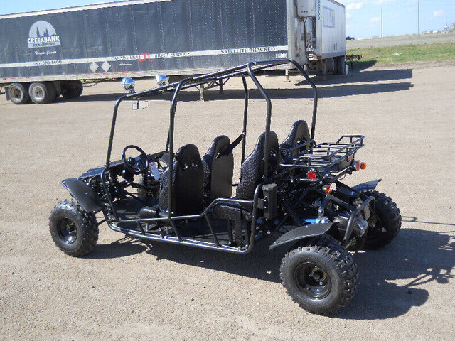 SPRING SAVINGS ON KIDS TEEN ADULTS DUNE BUGGYS GO KARTS UTVS! in Other in Brandon - Image 3