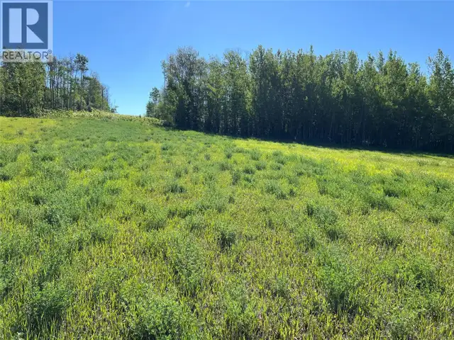 3466 218 Road Dawson Creek, British Columbia in Houses for Sale in Dawson Creek - Image 17