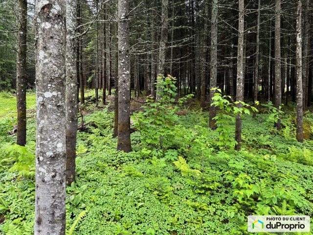 $160,000 - Residential Lot for sale in Ste-Brigitte-De-Laval — photo 2