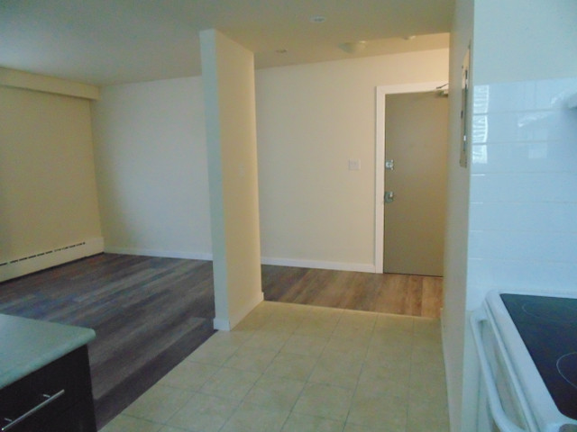 160 Johnson Ave - 1 Bedroom Apartment for Rent in Long Term Rentals in Winnipeg - Image 2