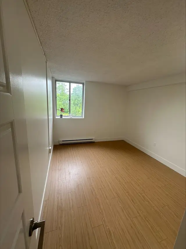 1 Bedroom - 700 Forest Hill Rd. - Newly Renovated in Long Term Rentals in Fredericton - Image 5