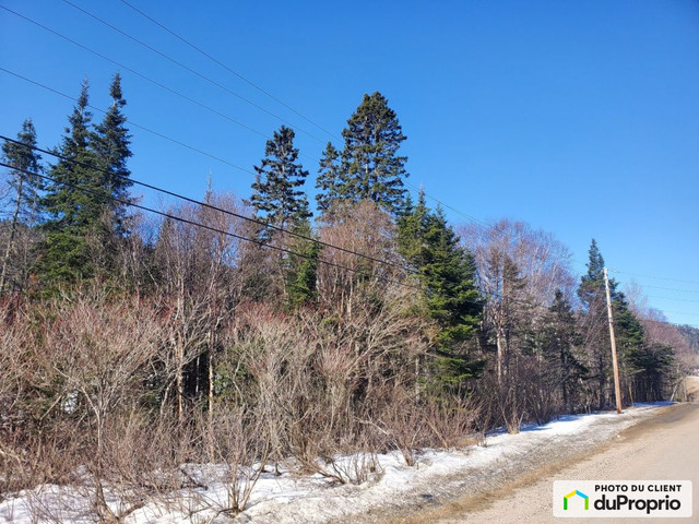 63 500$ - Terrain résidentiel à vendre à Franquelin dans Terrains à vendre  à Baie-Comeau - Image 2