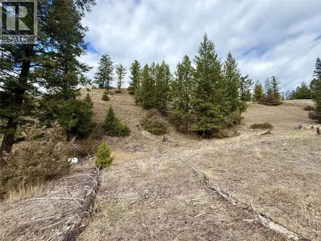 2400 KOOTENAY RD NO 3 Road Lot# 2 Windermere, British Columbia in Land for Sale in Cranbrook - Image 16