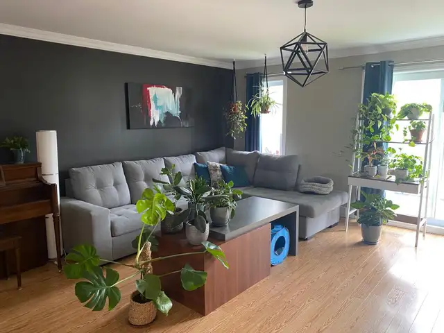 Grand 5-1/2 lumineux avec beaucoup de rangement in Long Term Rentals in Trois-Rivières - Image 6