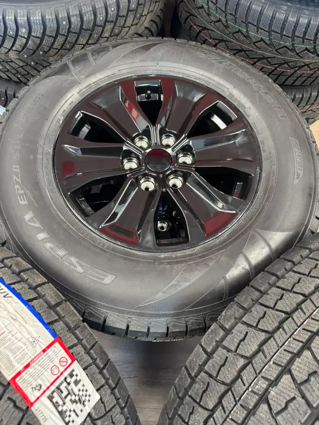 2005–2026 Ford F-150 / Expedition Winter Rim &  Tires in Tires & Rims in Edmonton - Image 6