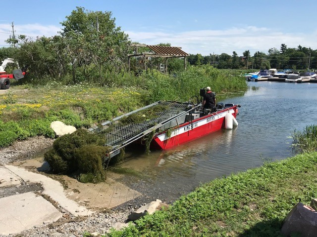 Aquatic Weed Removal/Harvesting in Other in Kingston - Image 2