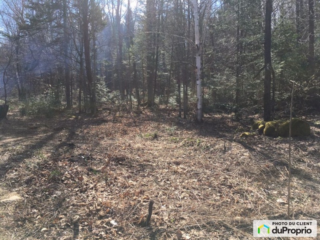 $800,000 - Wood Lot for sale in Ste-Julienne — photo 2
