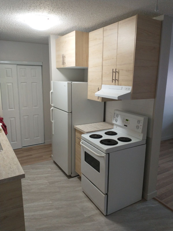 Premium 2 bdr - 10419 156 St - RENOVATED MUST SEE! 2