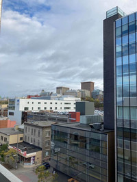 More choices, more comfort, easy for you! Explore all our apartment rental options tailored to your... (image 1)
