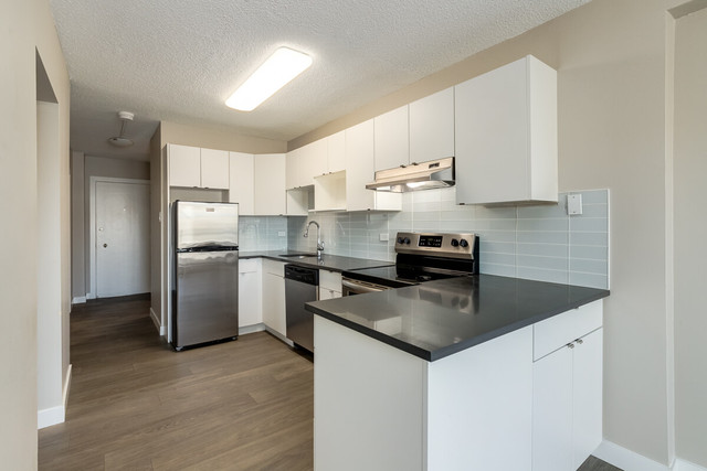 Apartments for Rent near Downtown Calgary - Cameron Manor - Apar in Long Term Rentals in Calgary - Image 3