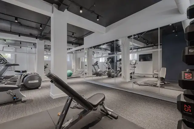 Appartement 5 ½ à louer Montcalm / Saint-Sacrement juillet 2026 in Long Term Rentals in Québec City - Image 8