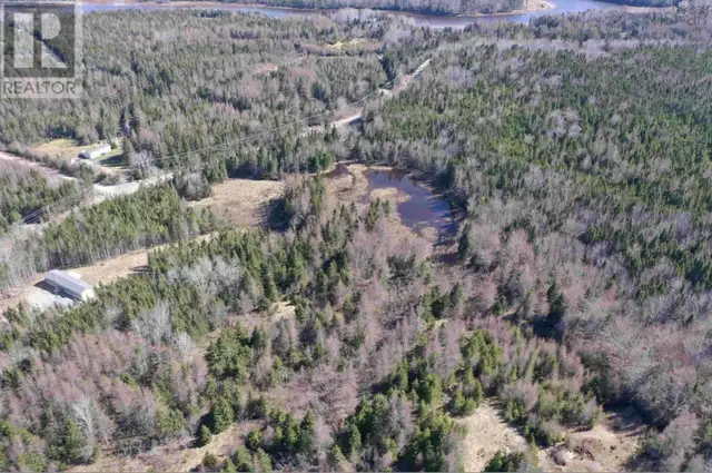 Lot 16 - Lower River Road Grantville, Nova Scotia in Land for Sale in Cape Breton - Image 5