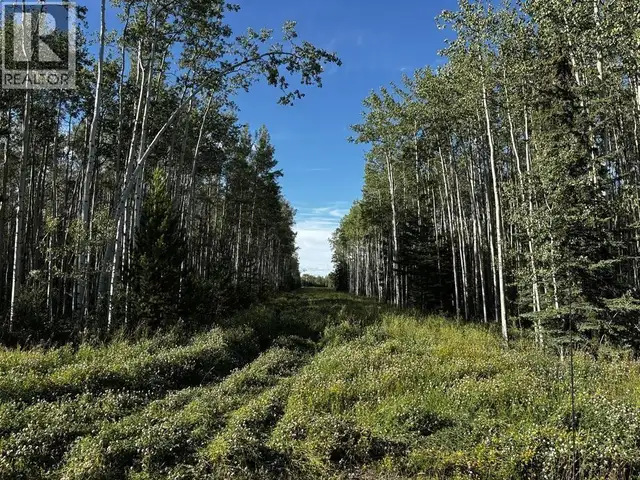 17493 279 ROAD Fort St. John, British Columbia in Land for Sale in Dawson Creek - Image 4