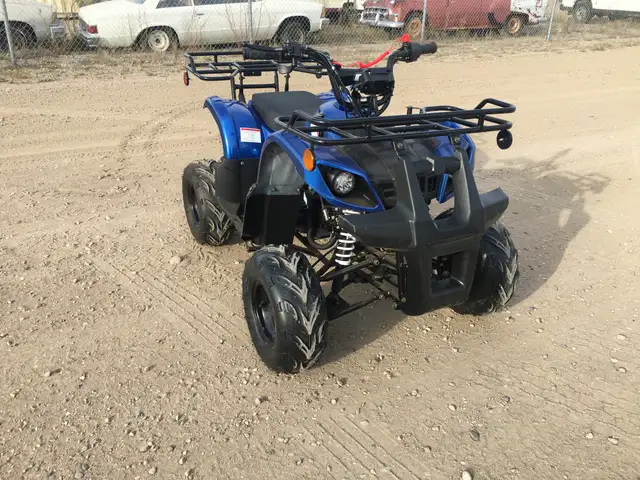 2025 BRAND NEW GIO BLAZER 125 ATV / QUAD / in ATVs in Brandon - Image 6