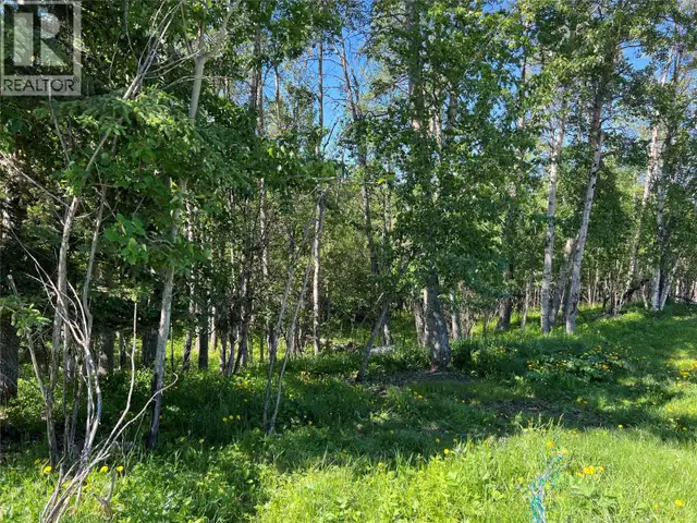3466 218 Road Dawson Creek, British Columbia in Houses for Sale in Dawson Creek - Image 19