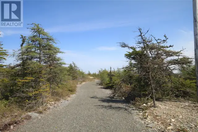 14 Rhodies Pond Grove Placentia Junction, Newfoundland & Labrado in Land for Sale in St. John's - Image 6