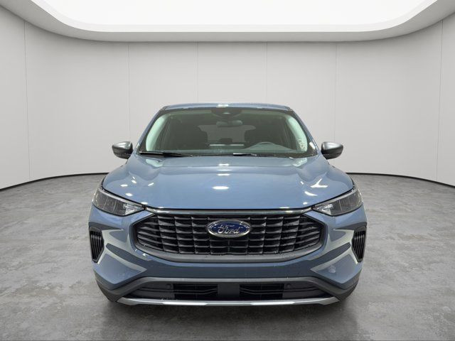 2025 Ford Escape Active in Cars & Trucks in Strathcona County - Image 2