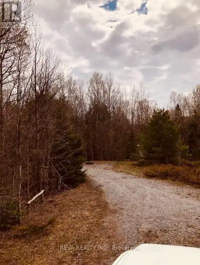 Almost 1 acre for your use as a Building Lot just north of the thriving hamlet of Vennachar. The nex...