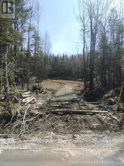 Private treed building lot! Perfect spot for four wheeling, fishing, hunting etc. yet on 10 minutes...
