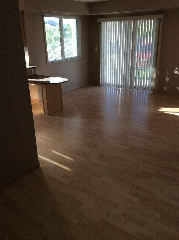 Highpark 1 Bedroom Apartment for Rent Long Term Rentals Red Deer