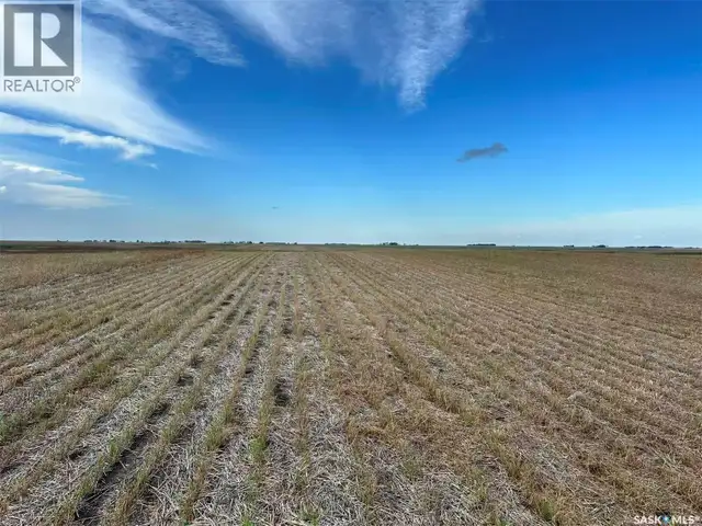 961 Acres Farmland in RM Morris Morris Rm No. 312, Saskatchewan in Land for Sale in Saskatoon - Image 7
