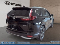 2022 Honda CR-V ???? 2022 Honda CR-V EX-L AWD Luxe, fiabilité et polyvalence sans compromis! ???? Pe... (image 2)