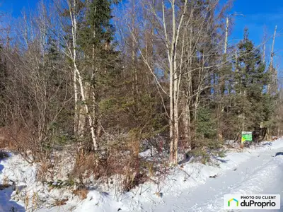 Lot boisé de 3447,8 m2, avec 51,75 m donnant sur le chemin Fontaine à Weedon. Le lot n'a jamais été...