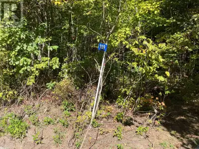 JUST SEVERED!! A newly created 10 acre lot. Located on a peaceful ,quiet country road with year roun...