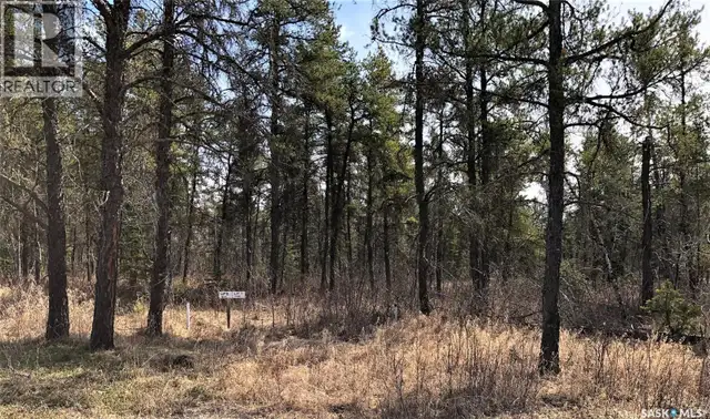 Rec Lot 3/2 Hudson Bay Rm No. 394, Saskatchewan in Land for Sale in Nipawin - Image 4