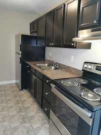 SPACIOUS FULLY RENOVATED 2 BDRM APT - ALL INCLUSIVE