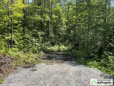 Terrain tranquille et boisé. Aucun voisin arrière, situé dans un cul-de-sac. Possibilité de construc...