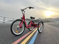 New Electric Trike Free Shipping and warranty