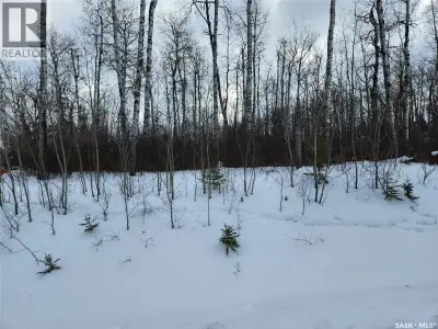 Fully titled West facing corner (non lake front) lot at one of Saskatchewans longest lakes. Codette...