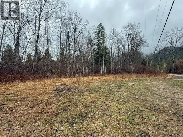 Nixon Road Lot# 83 Appledale, British Columbia in Land for Sale in Nelson - Image 16